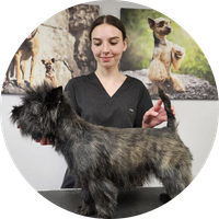 Wiktoria WOOF STUDIO